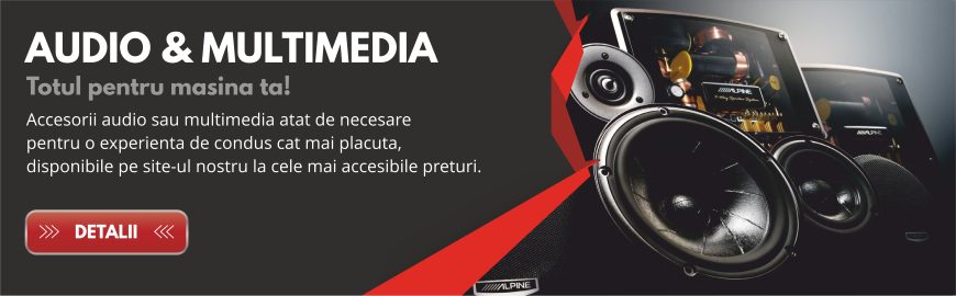 Audio si Multimedia