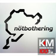 Sticker auto geam 015