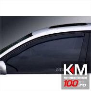 Stickere geam ETCHED GLASS - CITROEN (set 2 buc.)