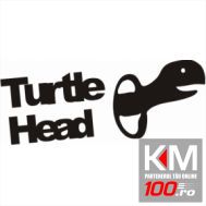 Turtle Head