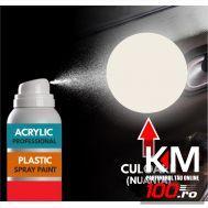 Spray Profesional RAL9010 pentru vopsire elemente din plastic sau metal