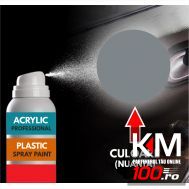 Spray Profesional RAL7046 pentru vopsire elemente din plastic sau metal