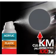 Spray Profesional RAL7024 pentru vopsire elemente din plastic sau metal