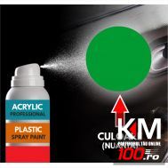 Spray Profesional RAL6002 pentru vopsire elemente din plastic sau metal