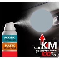 Spray Profesional RAL7001 pentru vopsire elemente din plastic sau metal