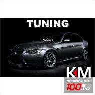 Sticker parbriz Tuning