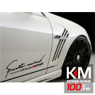 Sticker Sports Mind AUDI (pret pe bucata)