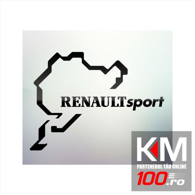 Sticker auto geam 029