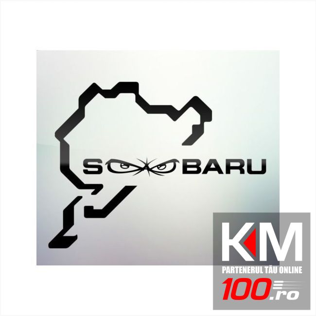 Sticker auto geam 009