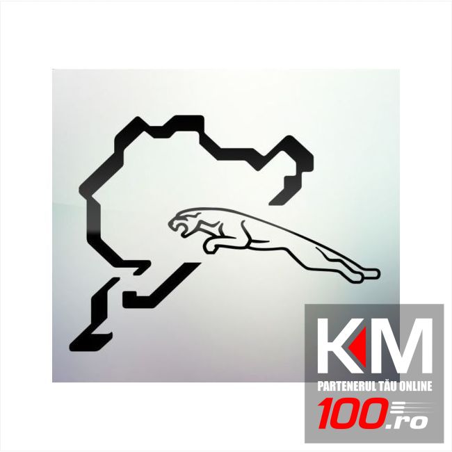 Sticker auto geam 031