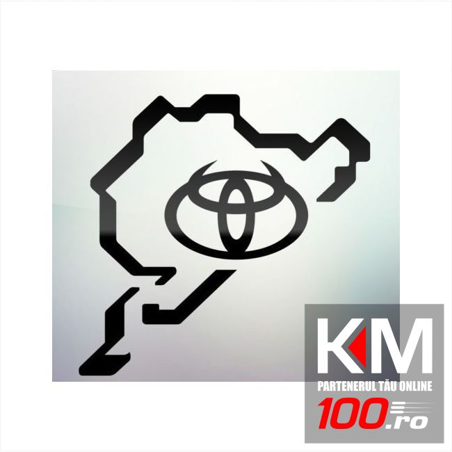Sticker auto geam 008