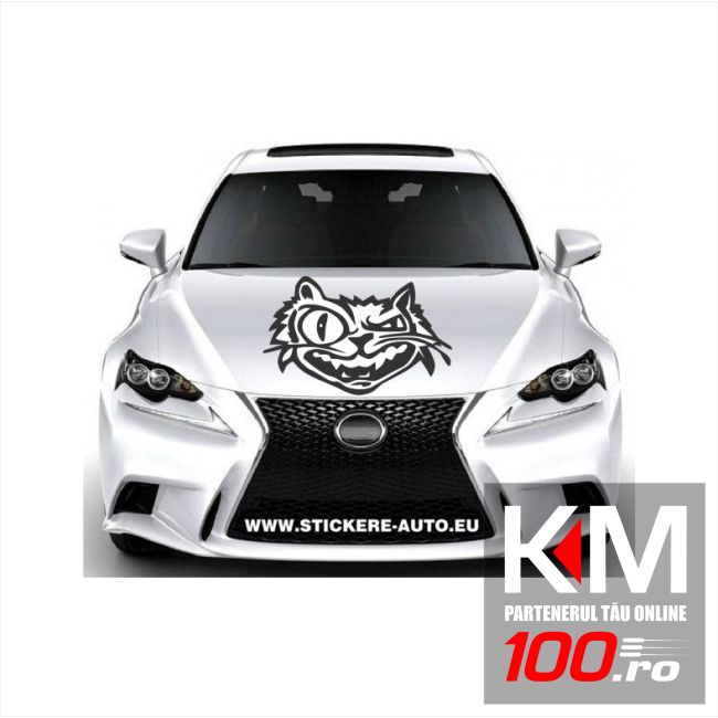 Sticker capota CM60