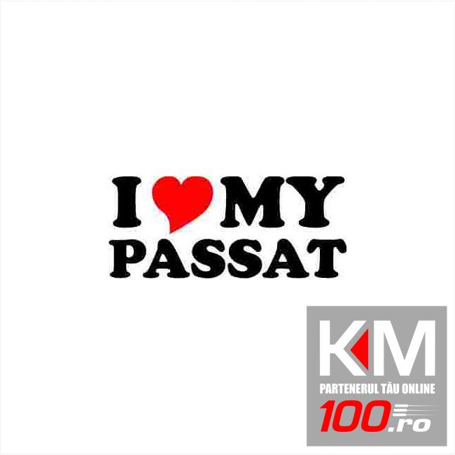 I Love My Passat