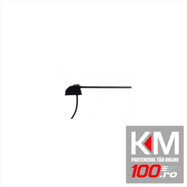 Antena auto Carpoint laterala telescopica 45-125 cm