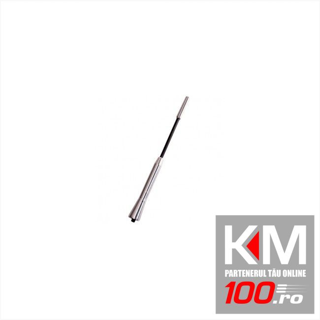 Tija antena auto Carpoint AM/FM 17,60 cm cu adaptor de 5 si 6 mm