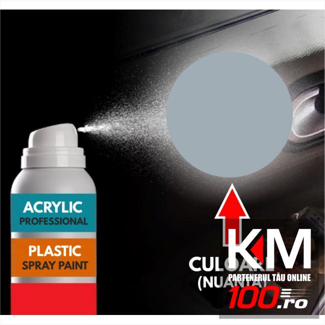 Spray Profesional RAL7001 pentru vopsire elemente din plastic sau metal