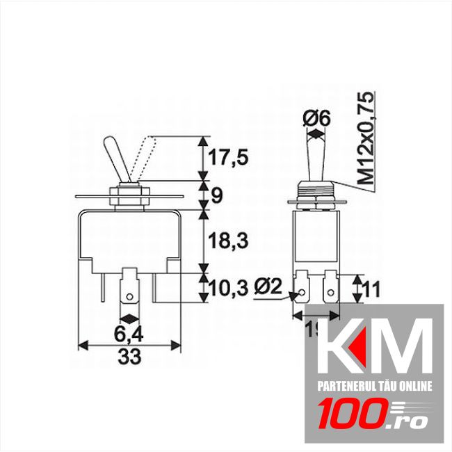 Intrerupatoare cu brat 2 circuit 10A-250V ON-ON