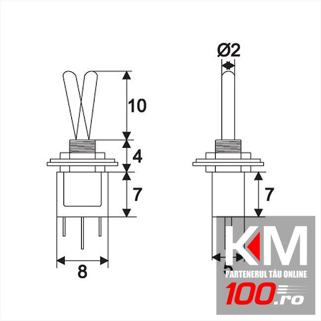 Intrerupatoare cu brat 1 circuit 1A-250V ON-ON