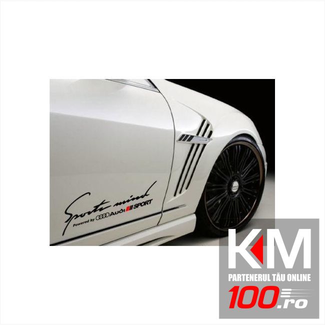 Sticker Sports Mind AUDI (pret pe bucata)