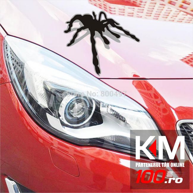 Sticker auto SPIDER 3D