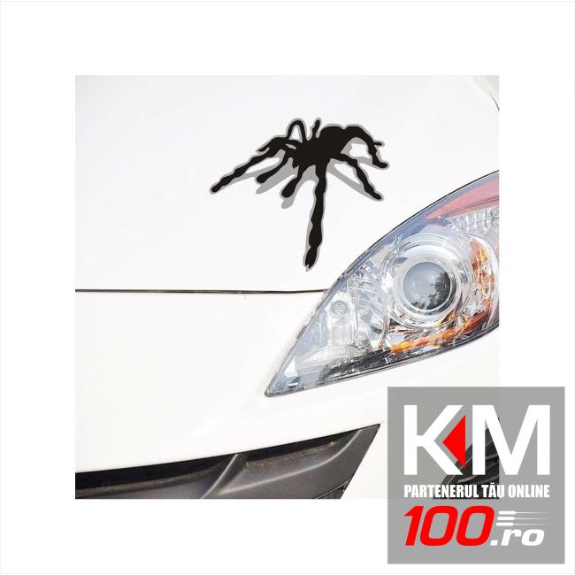 Sticker auto SPIDER 3D