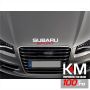 Sticker capota SUBARU - CPT53