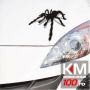 Sticker auto SPIDER 3D